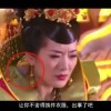 word免费教程视频全集自学